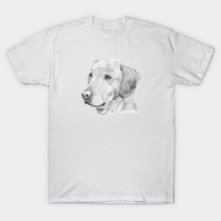 Golden retriever 2 T-Shirt